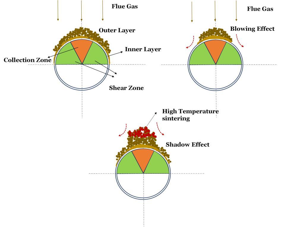 Dynamic Behavior of Biomass Ash Deposition